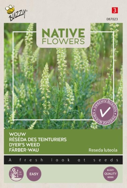 semená rezeda, semená kvetov,  Reseda luteola